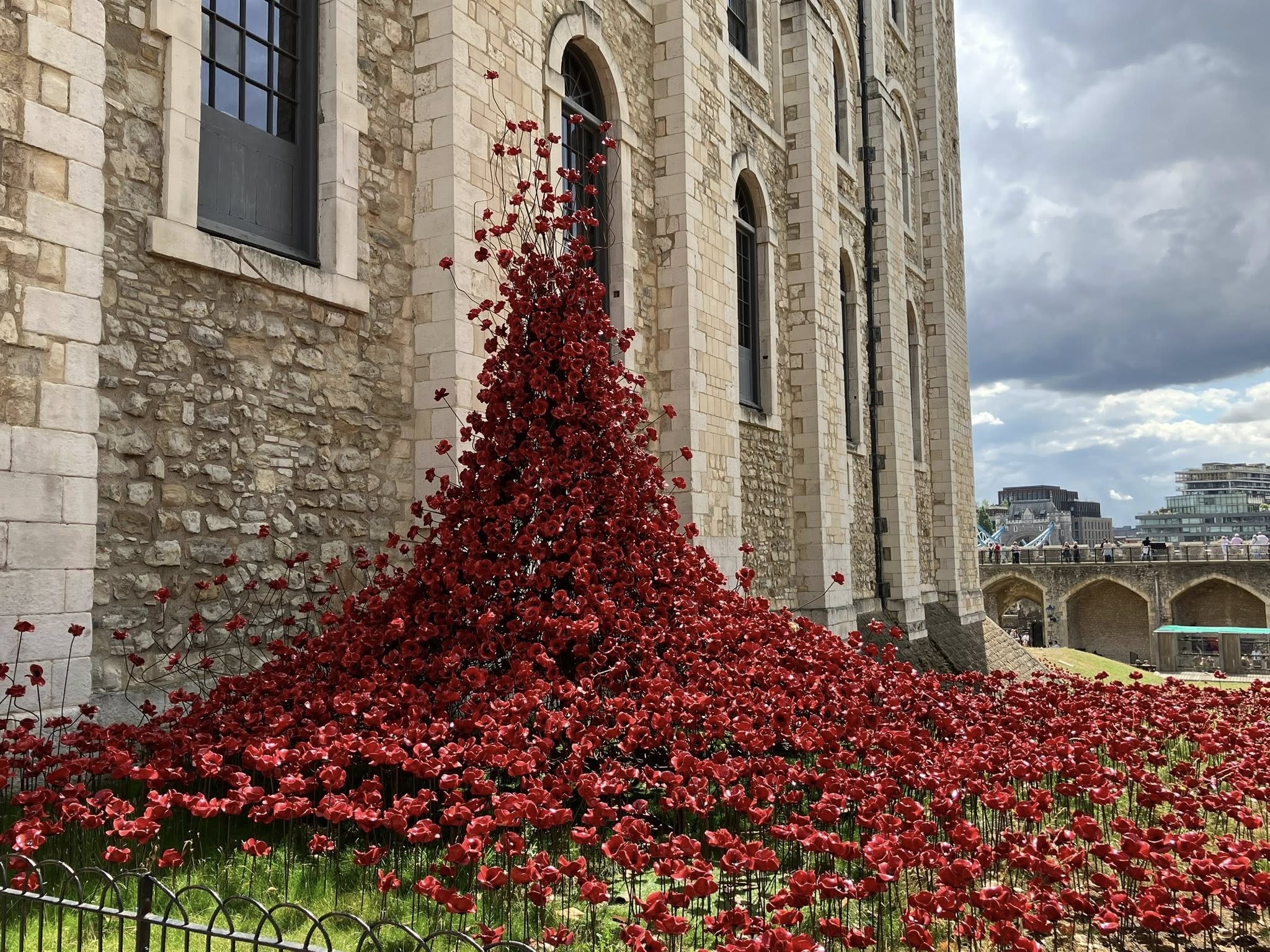 poppies.jpg