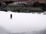 glasgow botanic snow.jpg